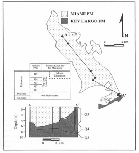 Transition of Miami and Key Largo Limestones