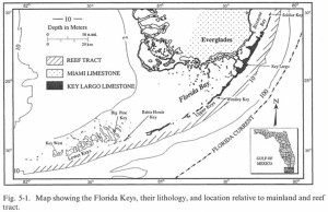 Transition of Miami and Key Largo Limestones