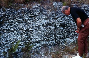 Miami Limestone Cross-bedding