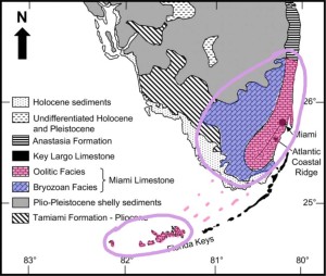 Miami Limestone Map