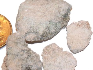 Miami Limestone Ooids