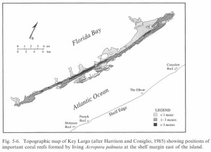 Florida Keys Modern Reef Positions