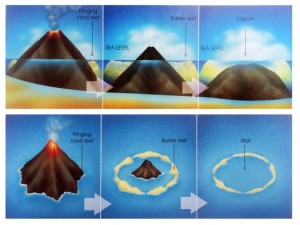 atoll-formation