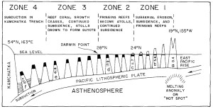 guyot-formation