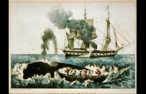 "Whalers harpoon a right whale in this 1856 Currier & Ives print." - SI