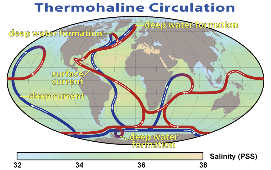 Figure 17. Density differences drive thermohaline circulation in the ocean. Image credit: NASA