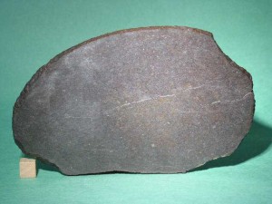 Image credit: http://www.meteoritemarket.com/DHO132.htm