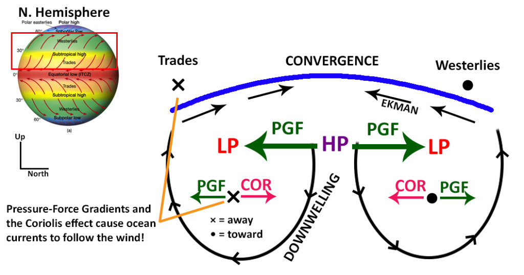 Figure 25. Image credit: C. Cameron.