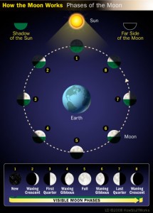 Lunar phases. Image credit: HowStuffWorks
