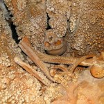 The Neanderthal in the karst: hapless skeleton dated at 150,000 years old