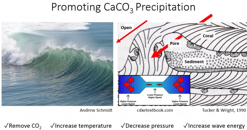 caco3-precip