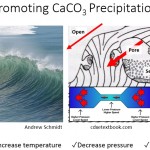 Chemistry lesson: calcium carbonate solubility