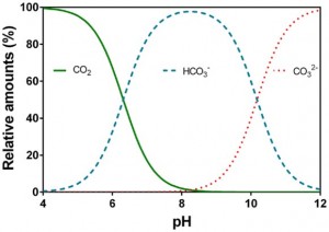 Image credit: Pedersen et al. (2013) 