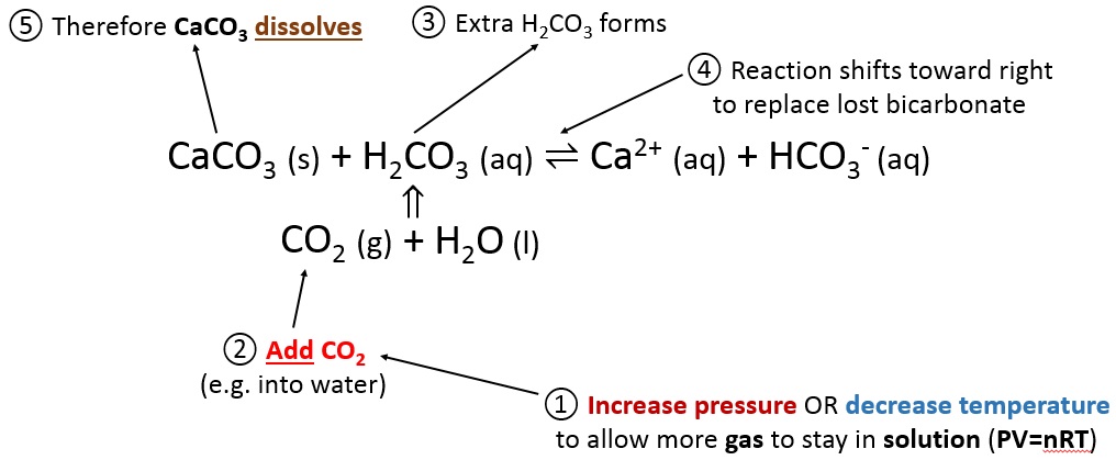 does caco3 dissolve in water