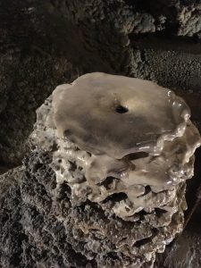 Grotta Gigante Stalagmite