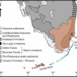Structure and formation of recent limestone (Miami & Key Largo) of Southern Florida