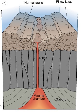 Cross Section Of Ocean Floor Geology