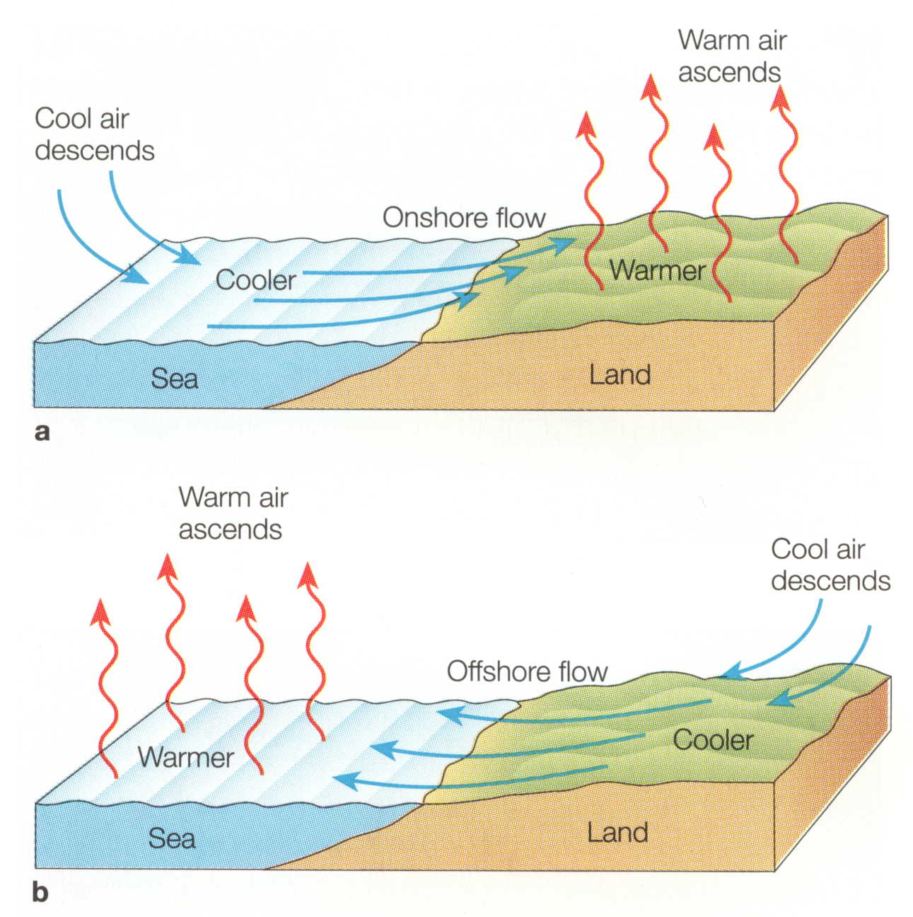 Global wind, precipitation, ocean current patterns Lucky Sci