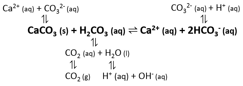 Карбонат аммония и хлорид кальция